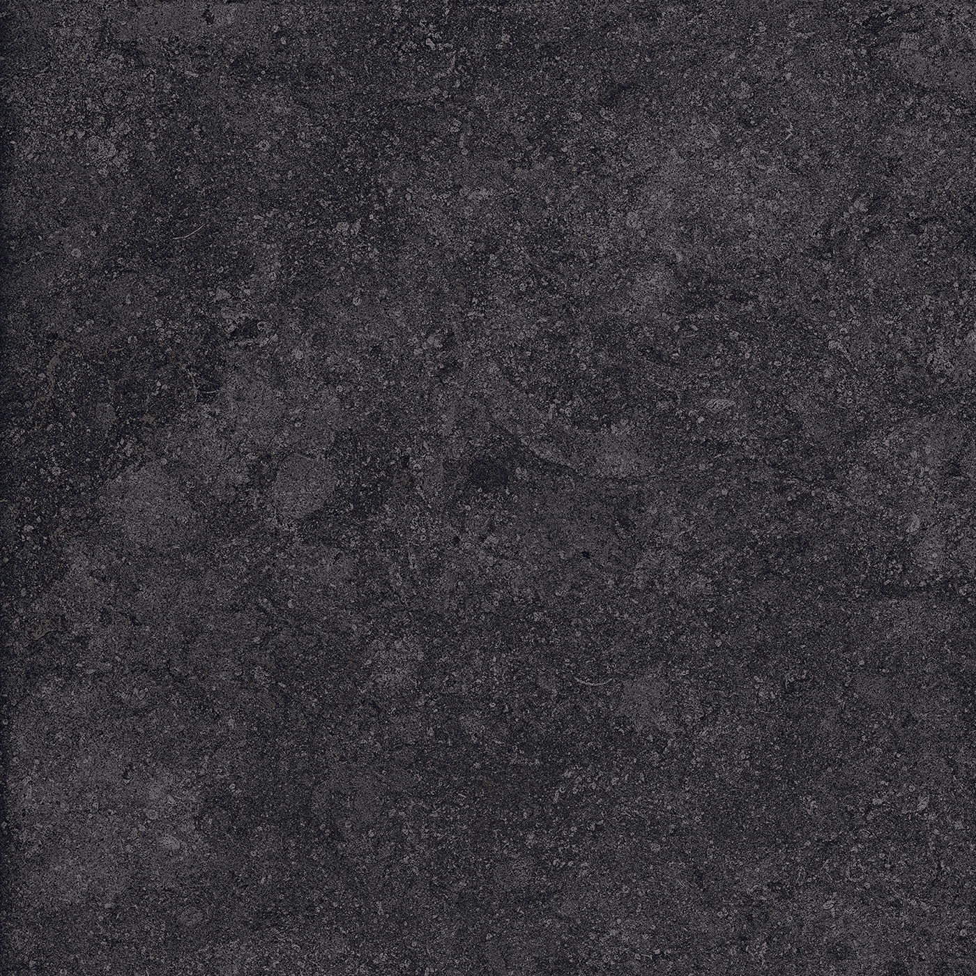 FOSSIL BLACK preview